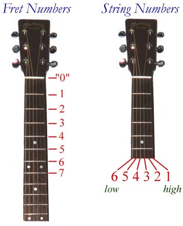 The parts of an Acoustic Guitar : Learn Acoustic Guitar